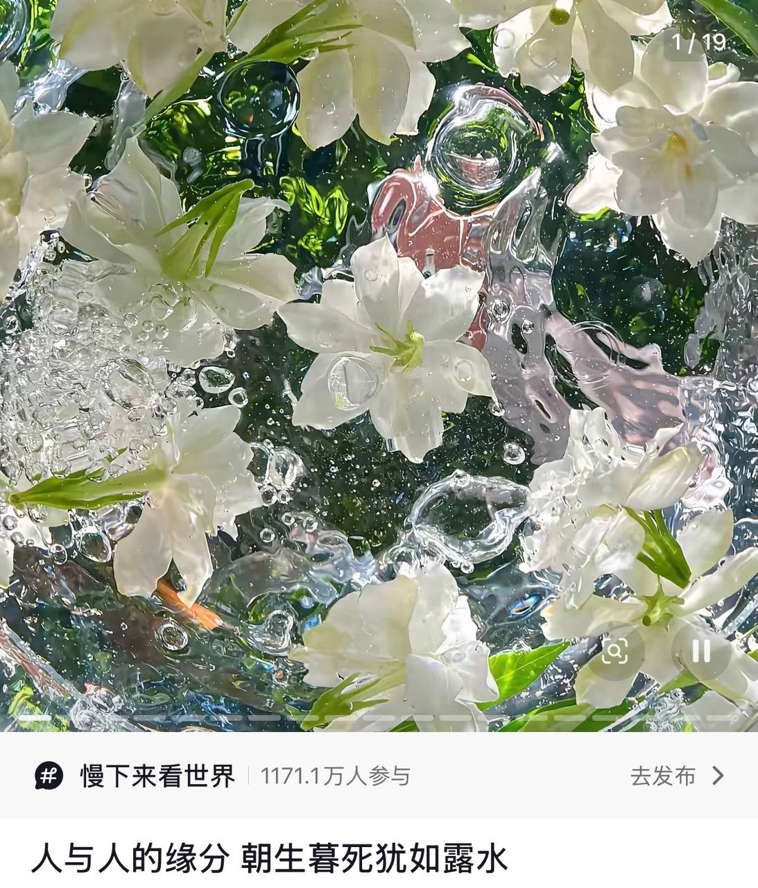 热门直播49导航网站推荐